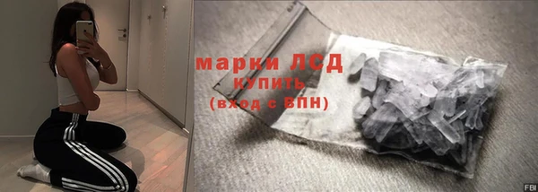 a pvp Новодвинск