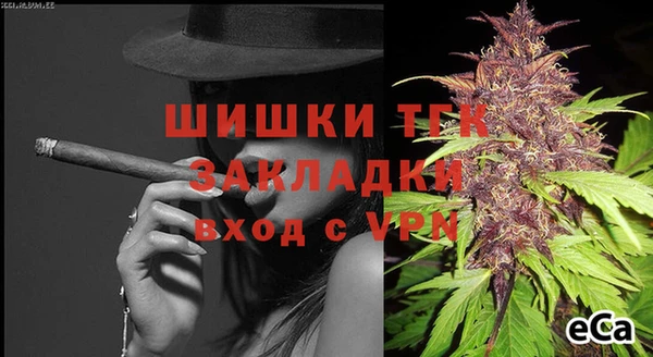трава Аркадак