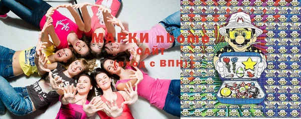a pvp Новодвинск